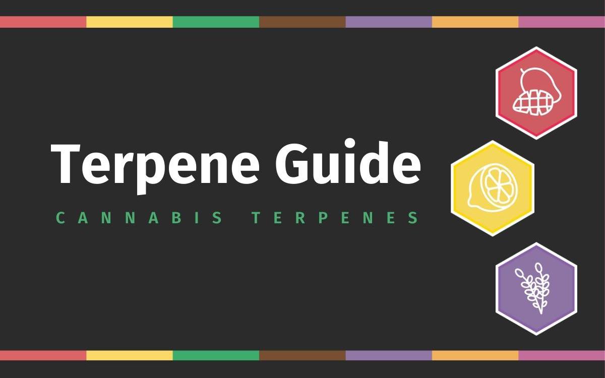 Terpene Guide