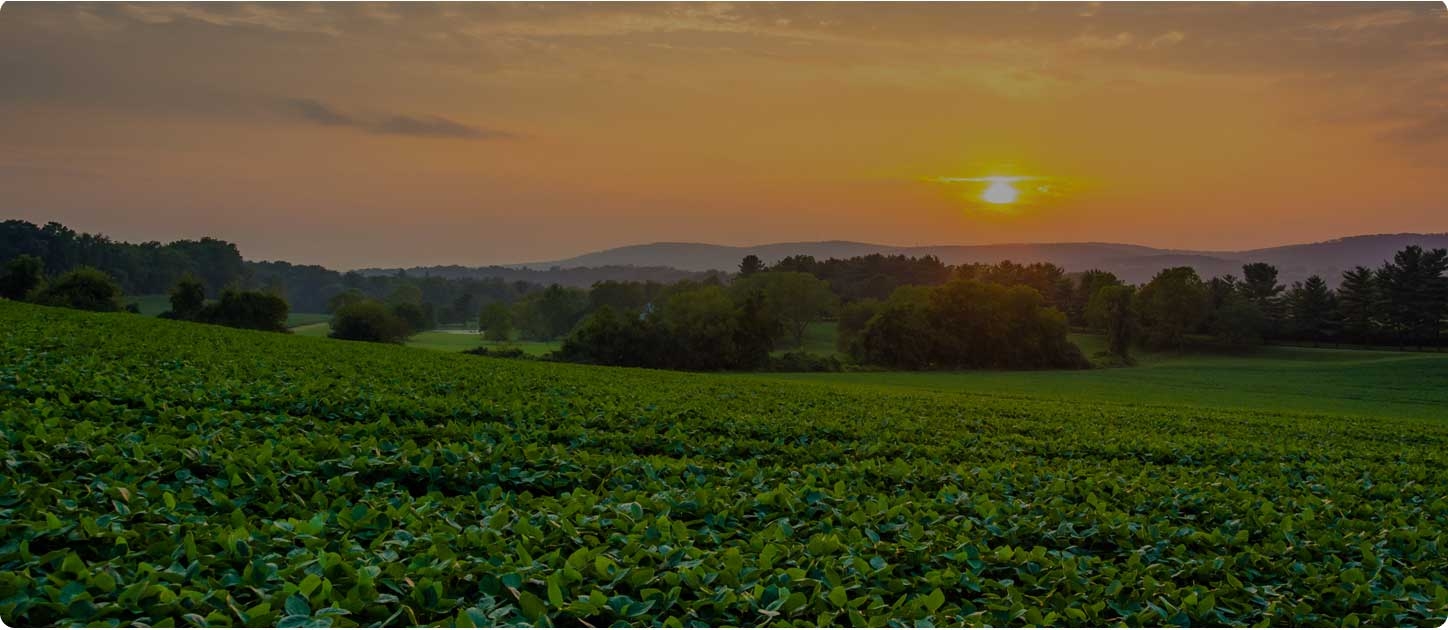 Medical Marijuana Dispensaries in Pennsylvania Zen Leaf