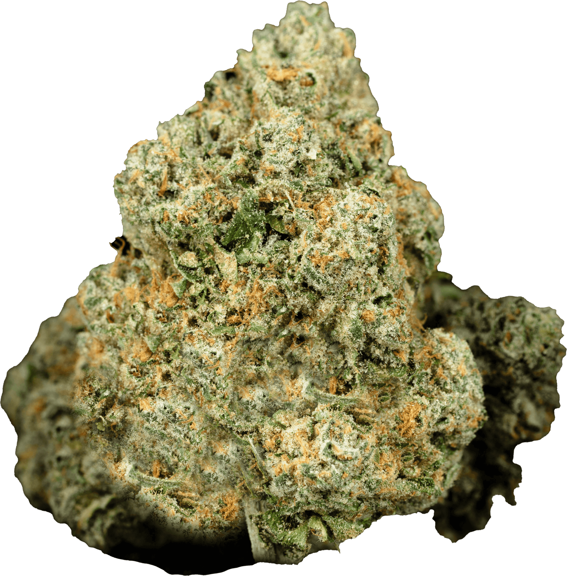 Zen Leaf Elizabeth Reviews - b3wjw0q