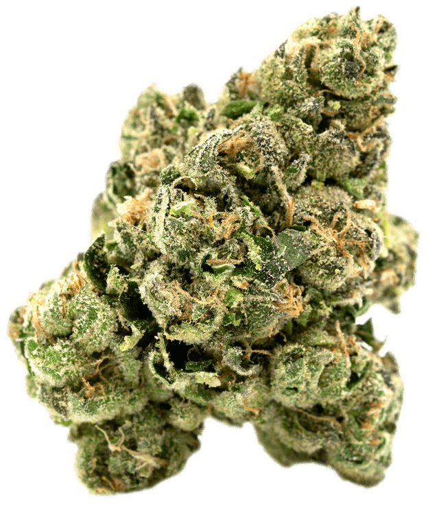 Orange Pound Cake Zen Leaf Dispensaries