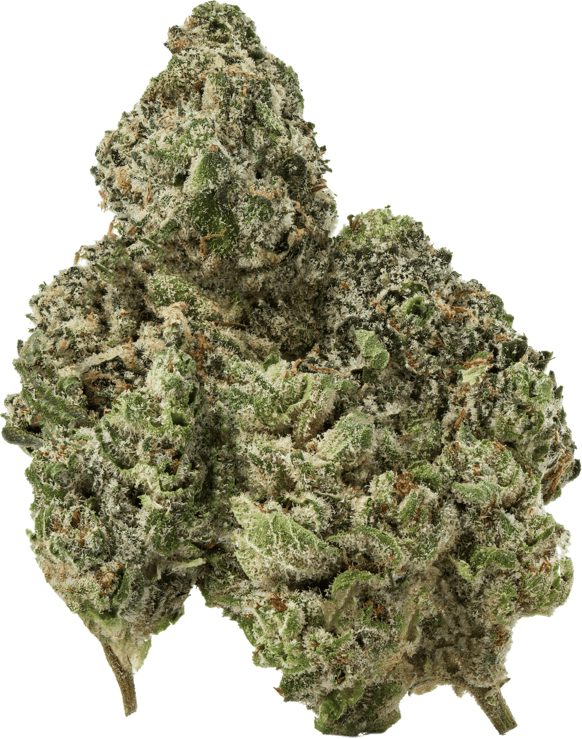 Zenleaf Washington Pa - 2lxf7s8