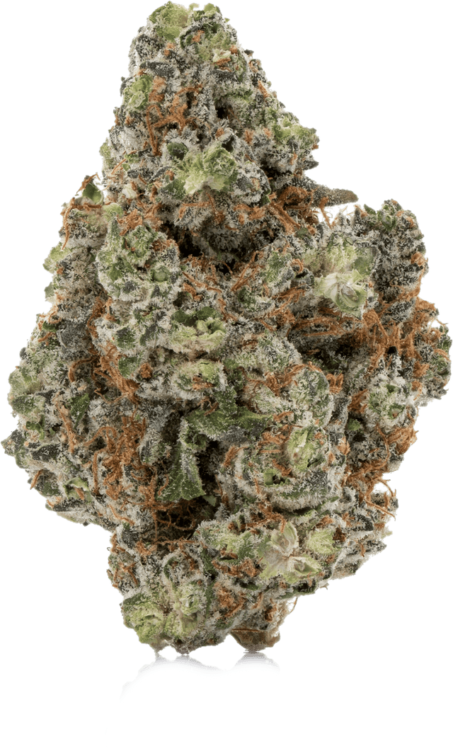 Wedding Kush Mints Zen Leaf Dispensaries