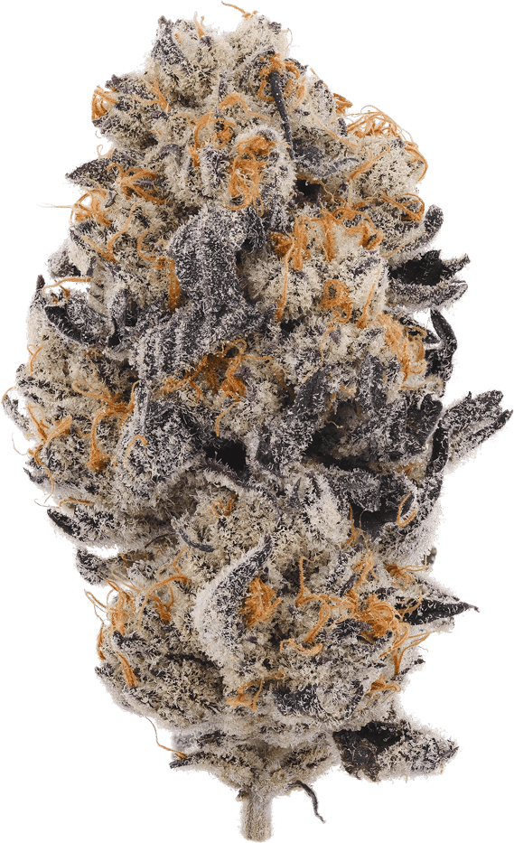 Pure Michigan Zen Leaf Dispensaries