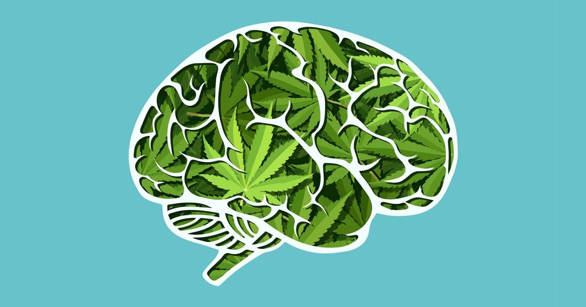 Cannabis and Autism