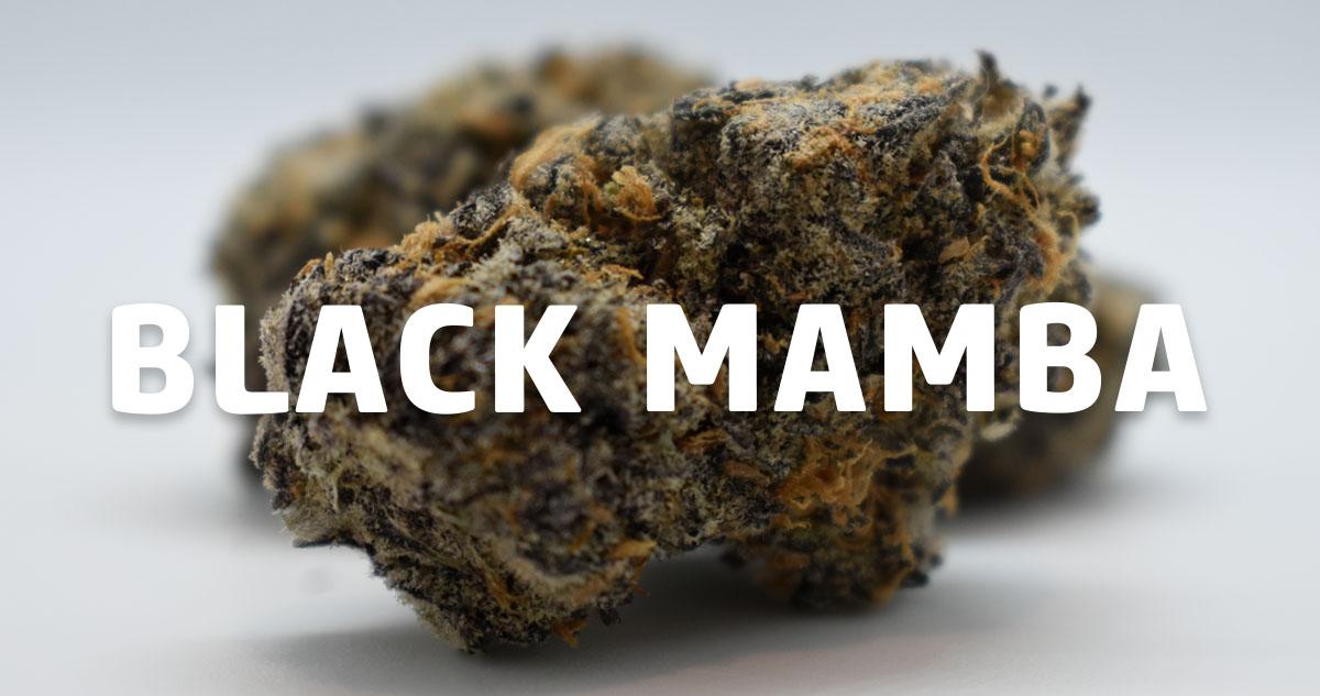 Black Mamba Strain