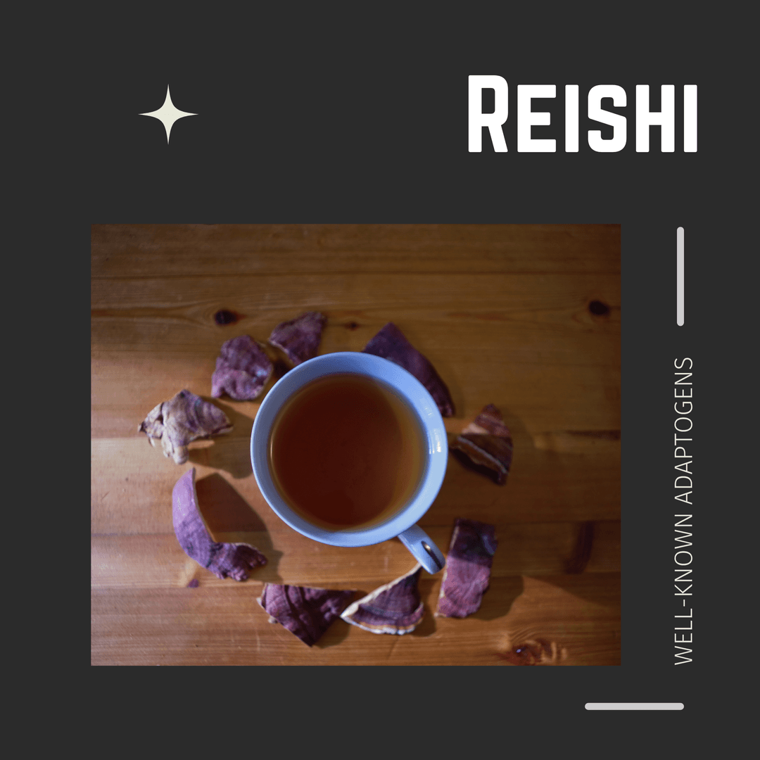 Reishi