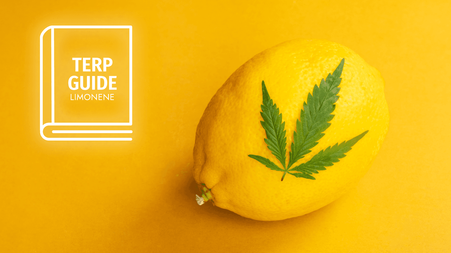 terp guide - limonene