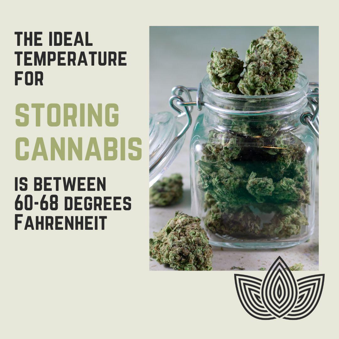 Ideal Temperature for Storing Cannabis