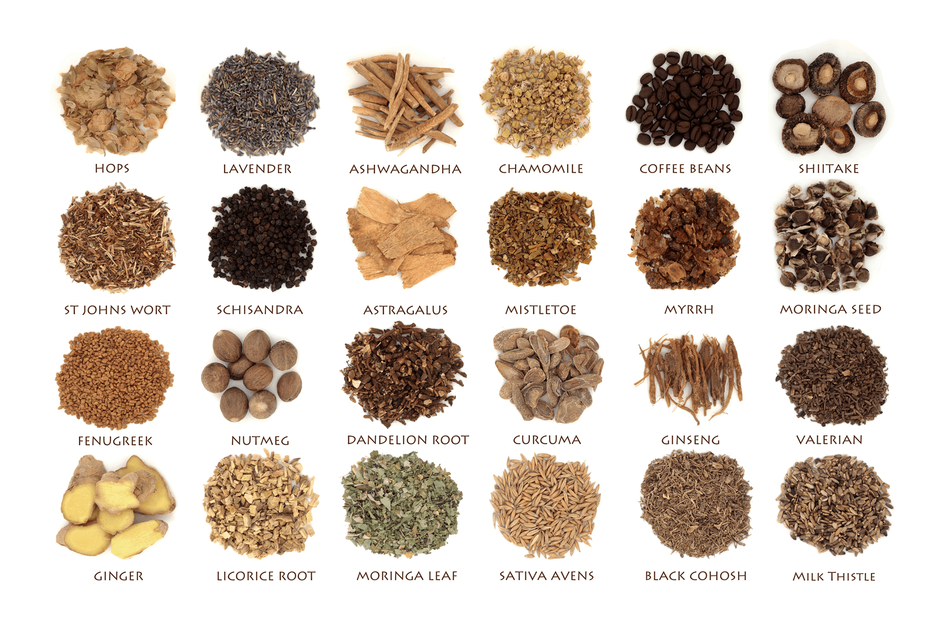 Adaptogens Chart 