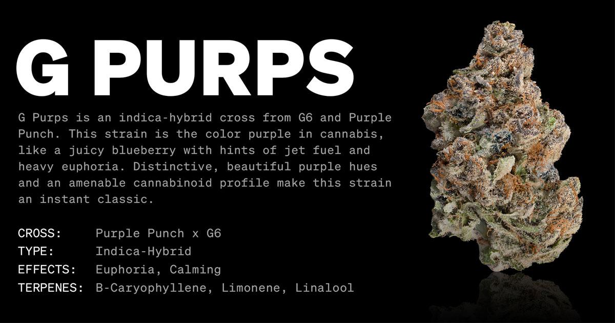 G Purps Cannabis Strain Effects, Potency, & Terpene Profile Zen Leaf