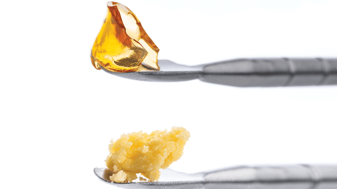 shatter and wax concentrates