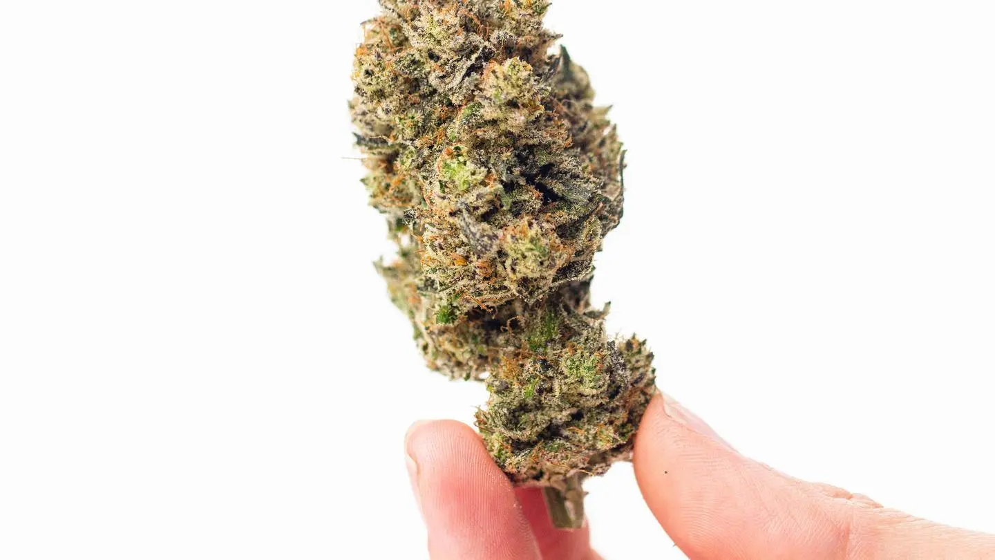 Strains with high thc