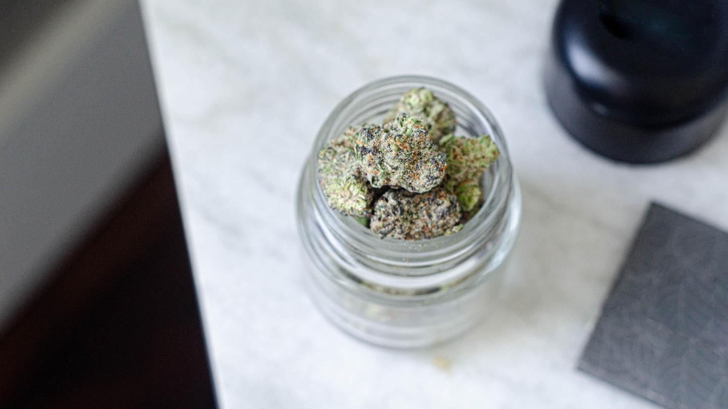 ocimene strains
