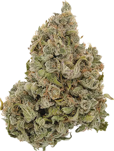 Banana Muffins image 1