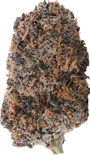 Berry SkunkDawg