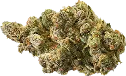 Blue Haze