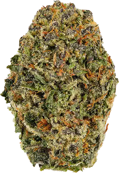 Blueberry Muffins