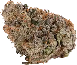 Grape Bubblegum
