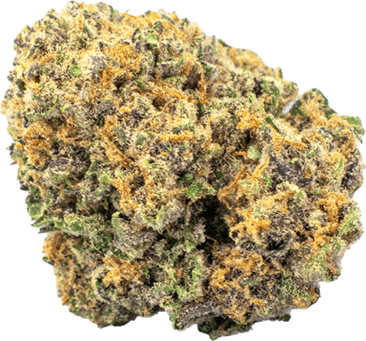 Guru