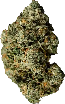Jet Fuel Gelato