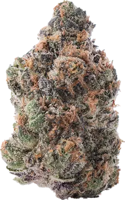 Purple Lemon Punch