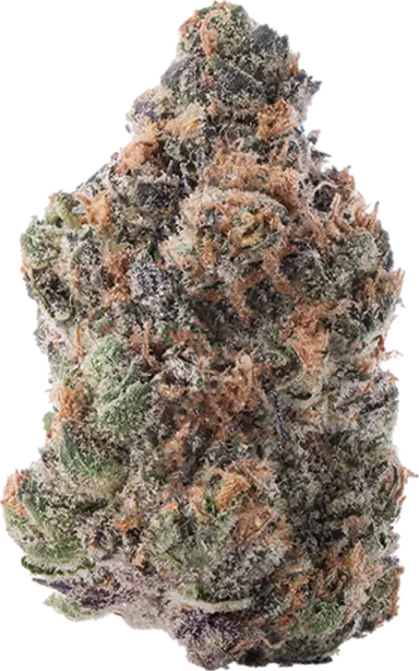 Purple Lemon Punch
