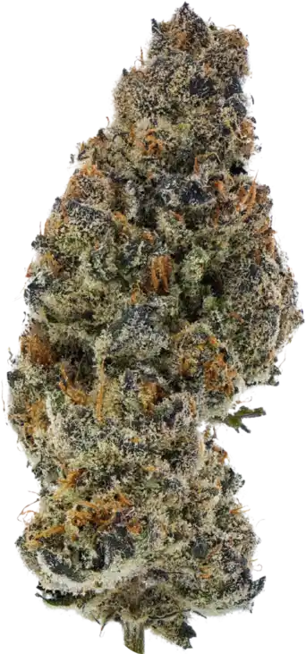 Apple Betty