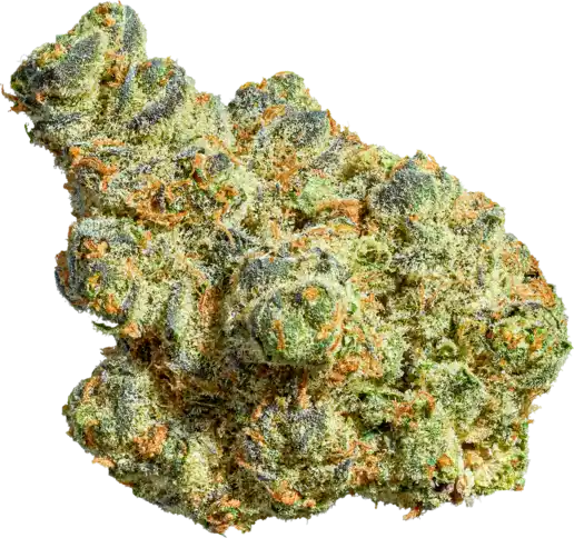 Apple Fritter