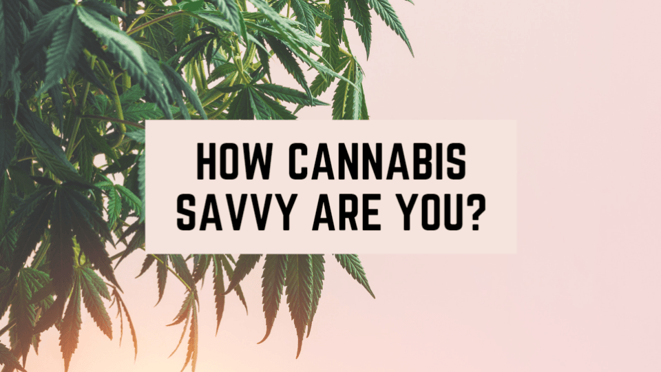 How Cannabis Savvy Are You?