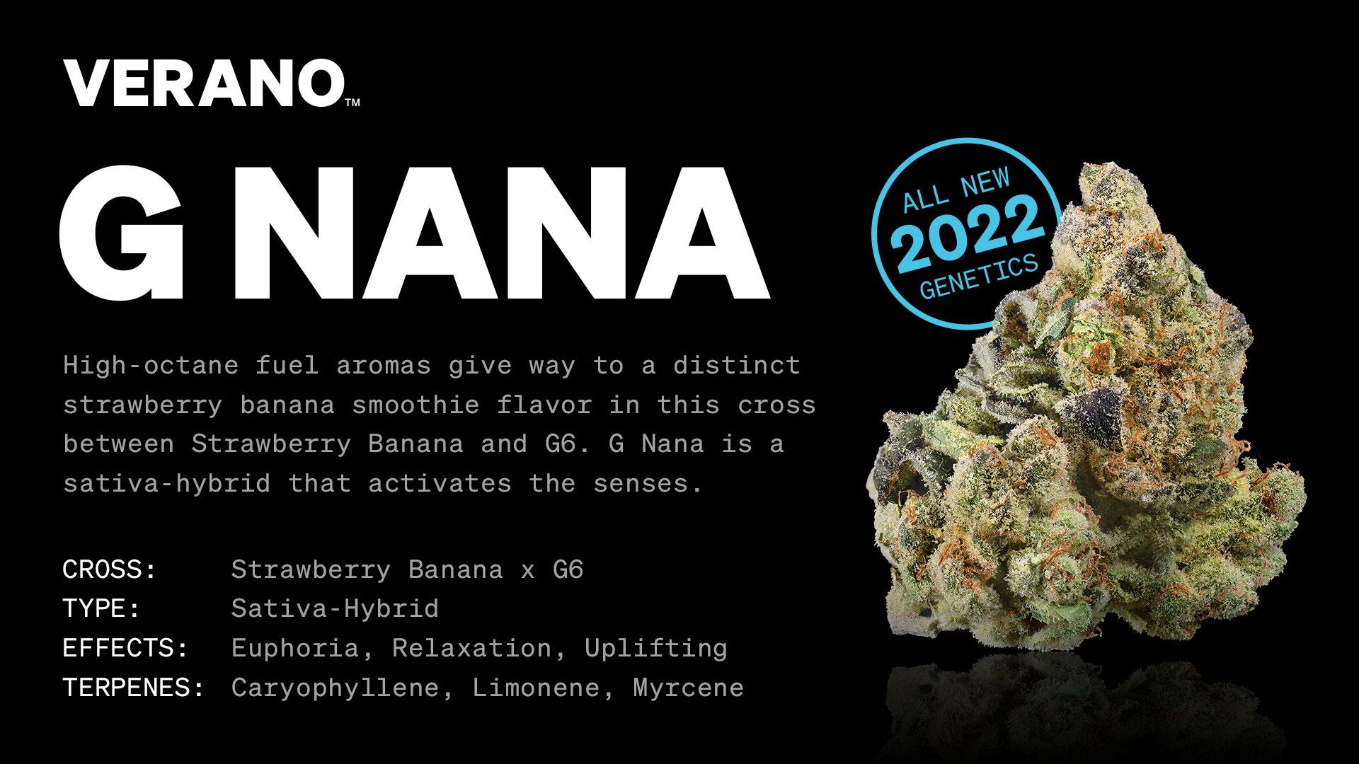 G Nana Cannabis Strain