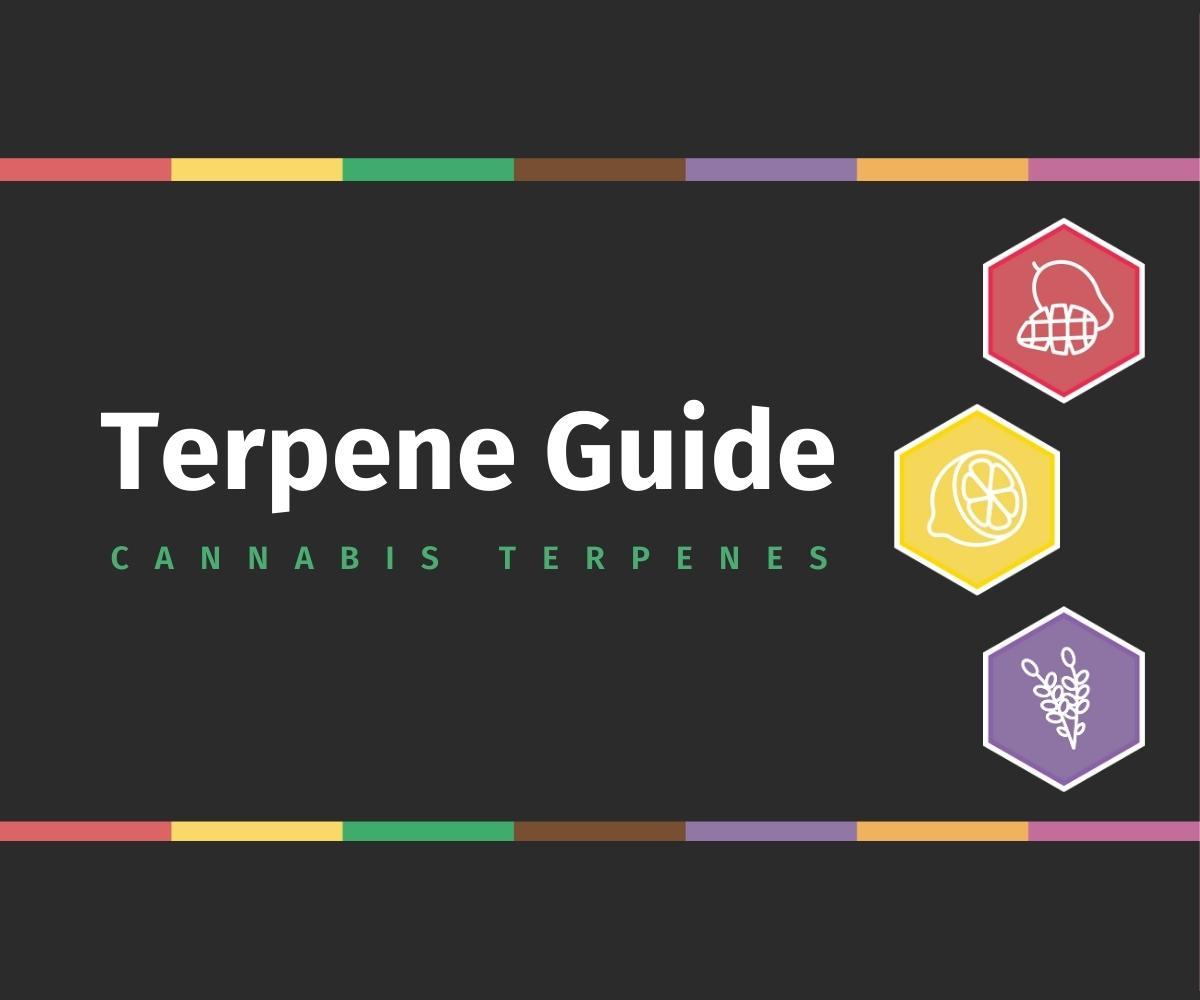 Terpene Guide