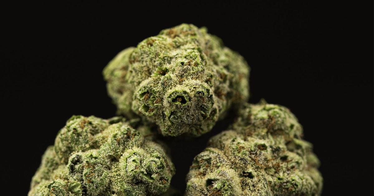 Michigan Cannabis