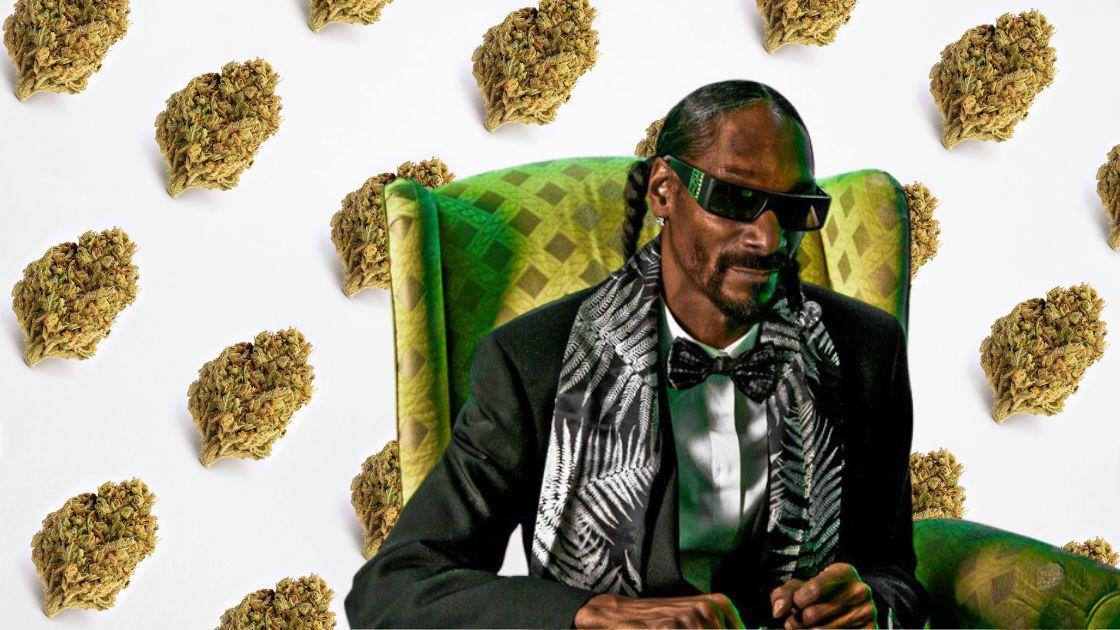 Snoop Dogg Cannabis Costume