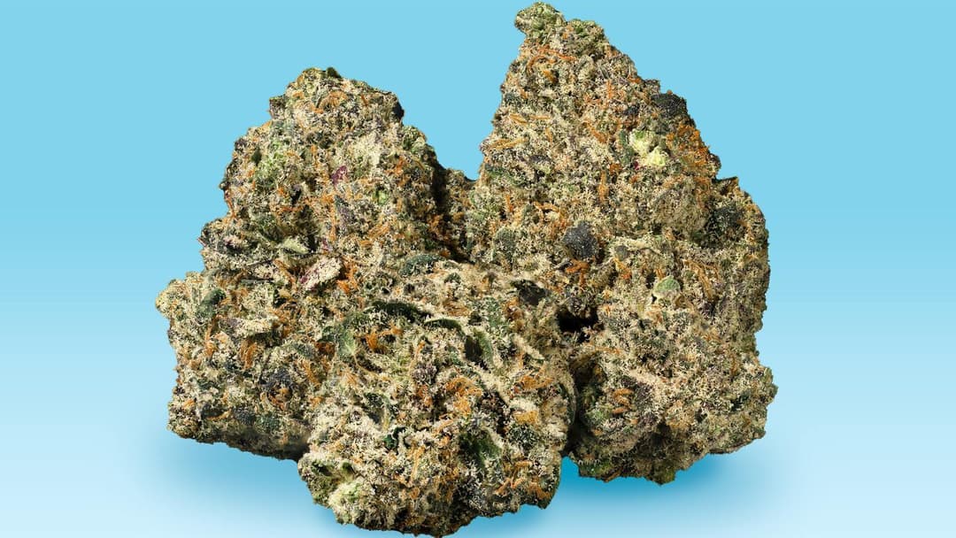 10 Best Indica Cannabis Strains 2025 Zen Leaf 10-best-indica-cannabis-strains-2025-zen-leaf
