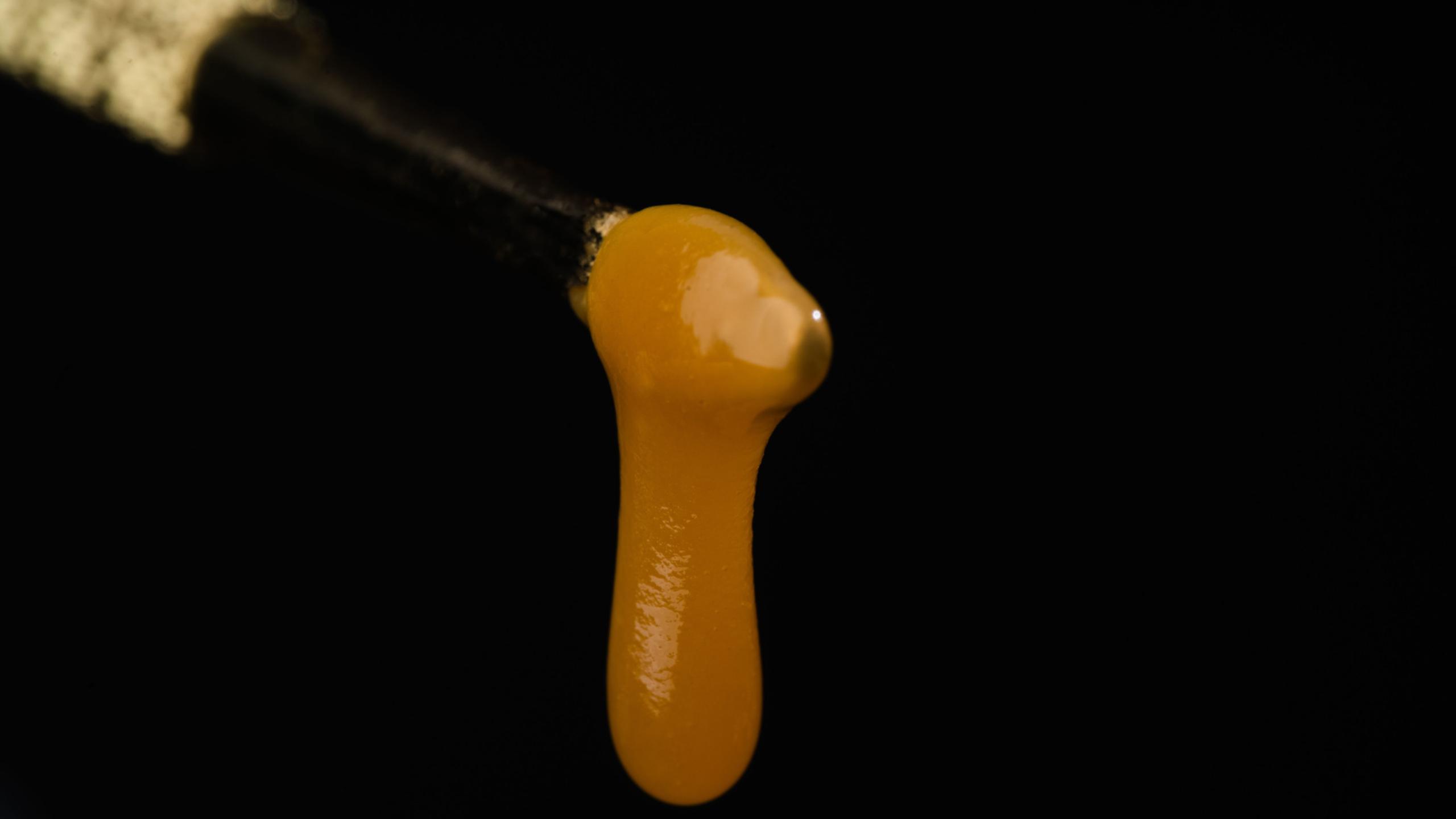 What is Badder, How is It Made, & How To Smoke It | Zen Leaf