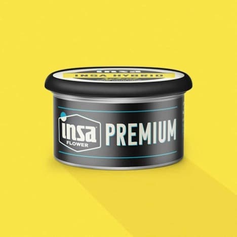 30% Off Insa