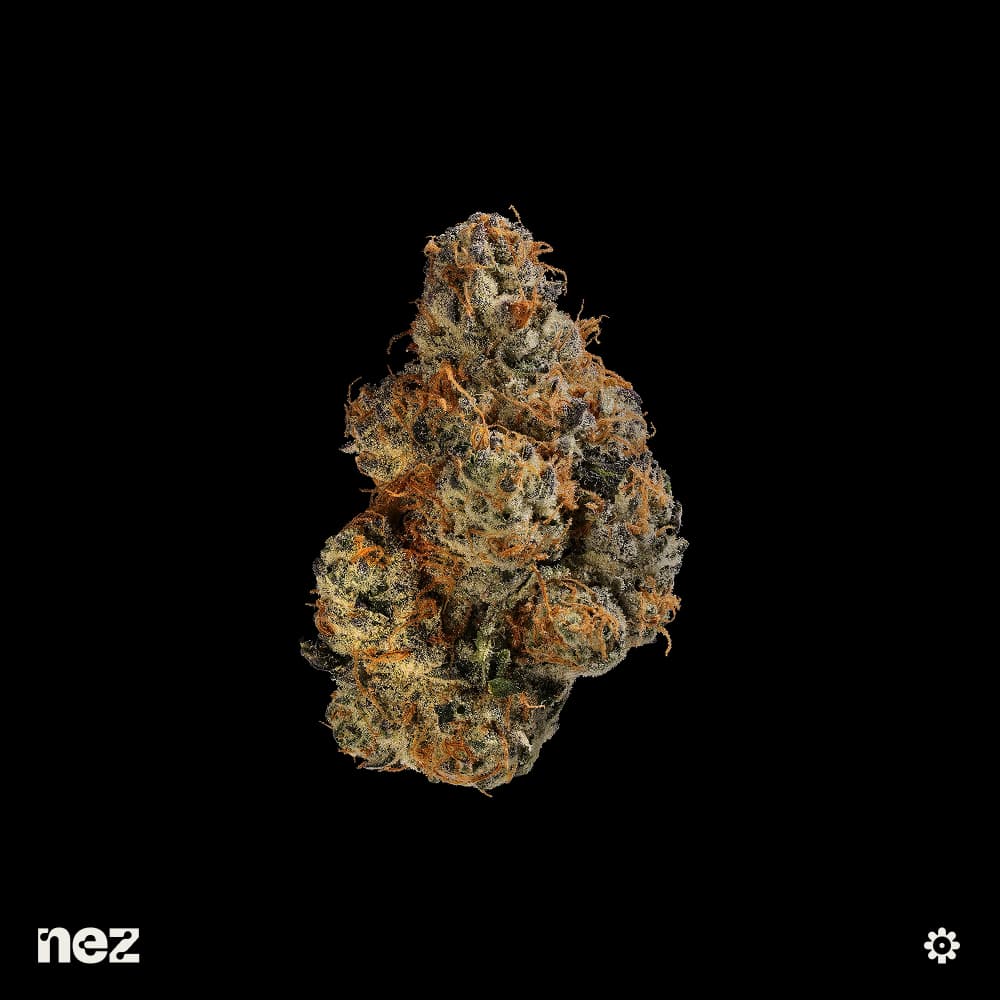 20% OFF NEZ & Otherside