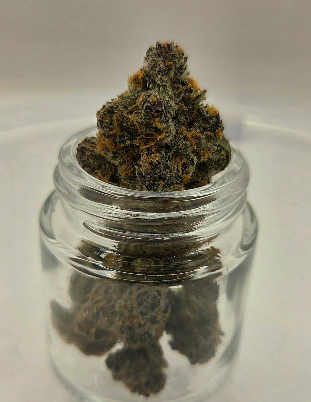 25% OFF Redbud Roots Flower