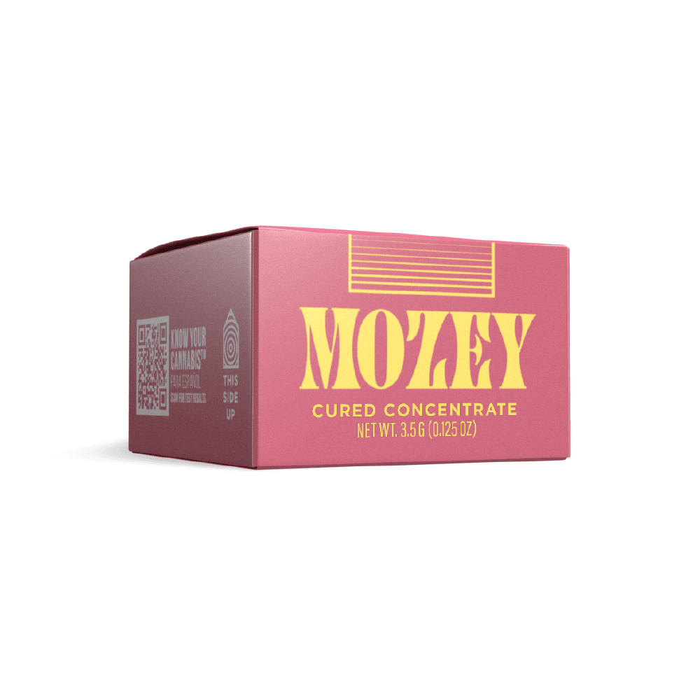 30% OFF Mozey, Paul Bunyon & Tonic