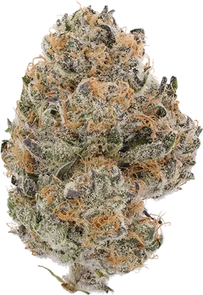 Pancake Stomper image 1