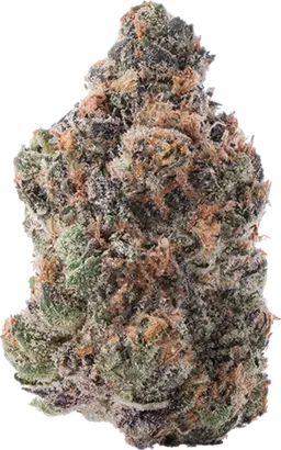 Purple Lemon Punch