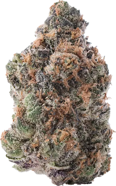 Purple Lemon Punch