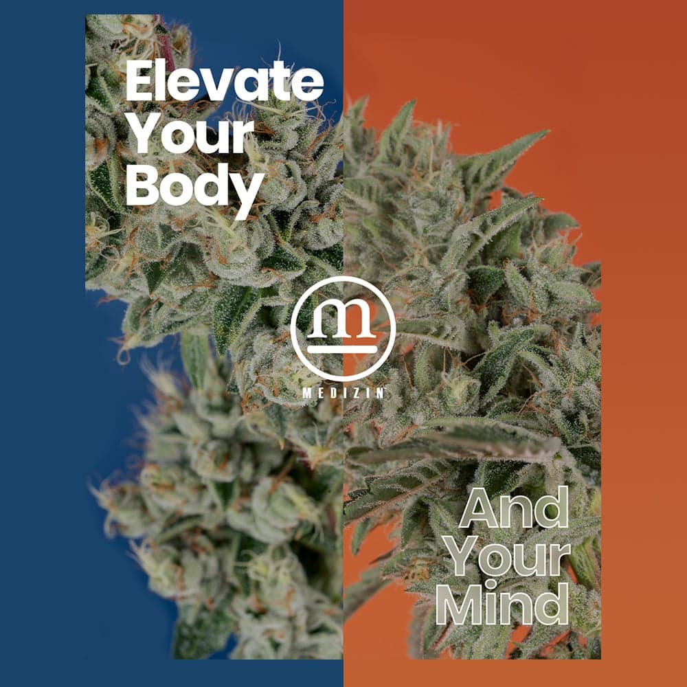 35% Off Medizin 1/8ths
