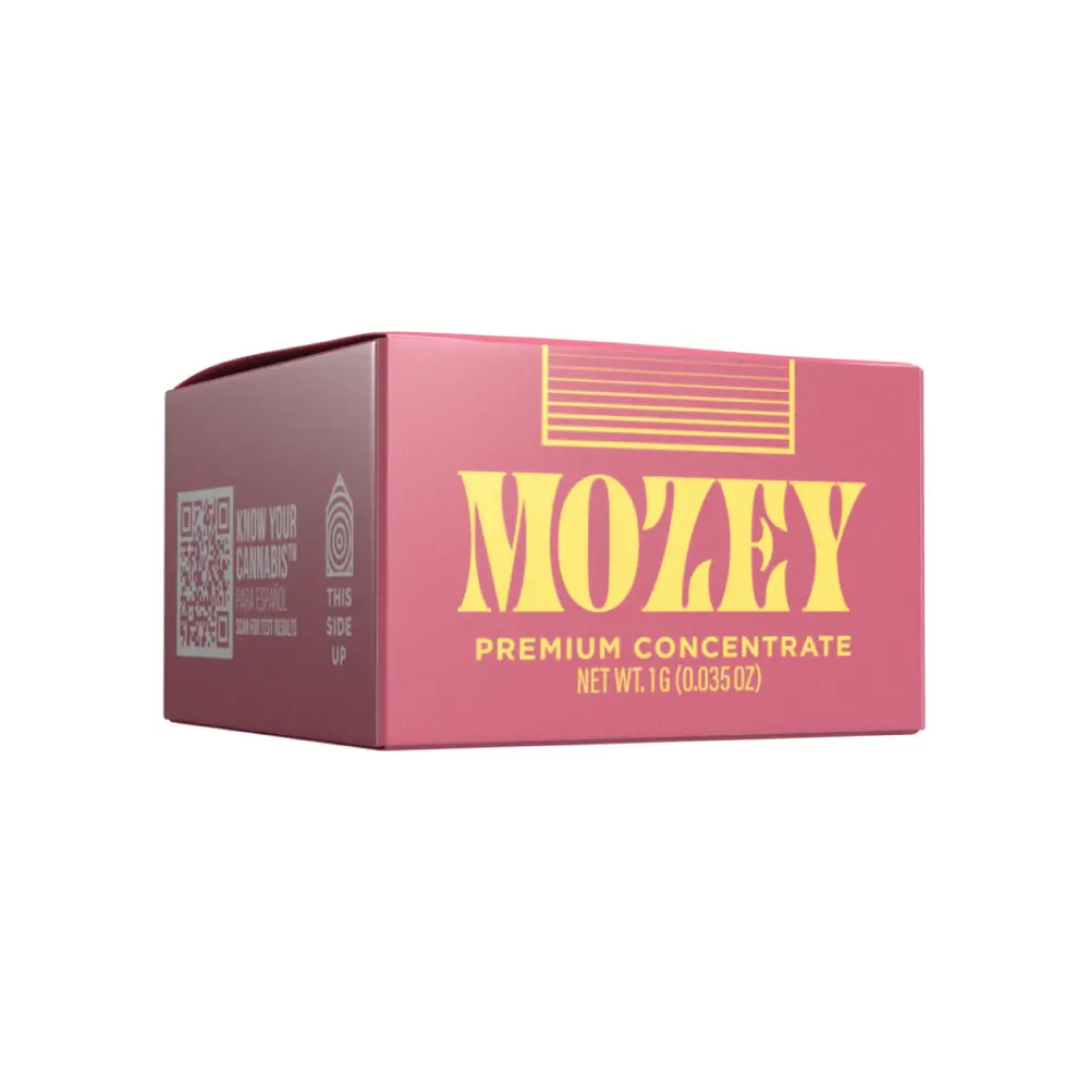 30% OFF Mozey & Paul Bunyon