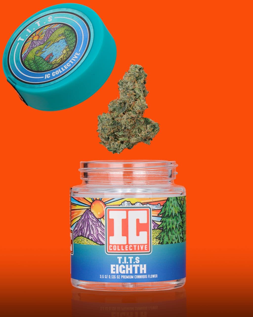 30% OFF IC Collective
