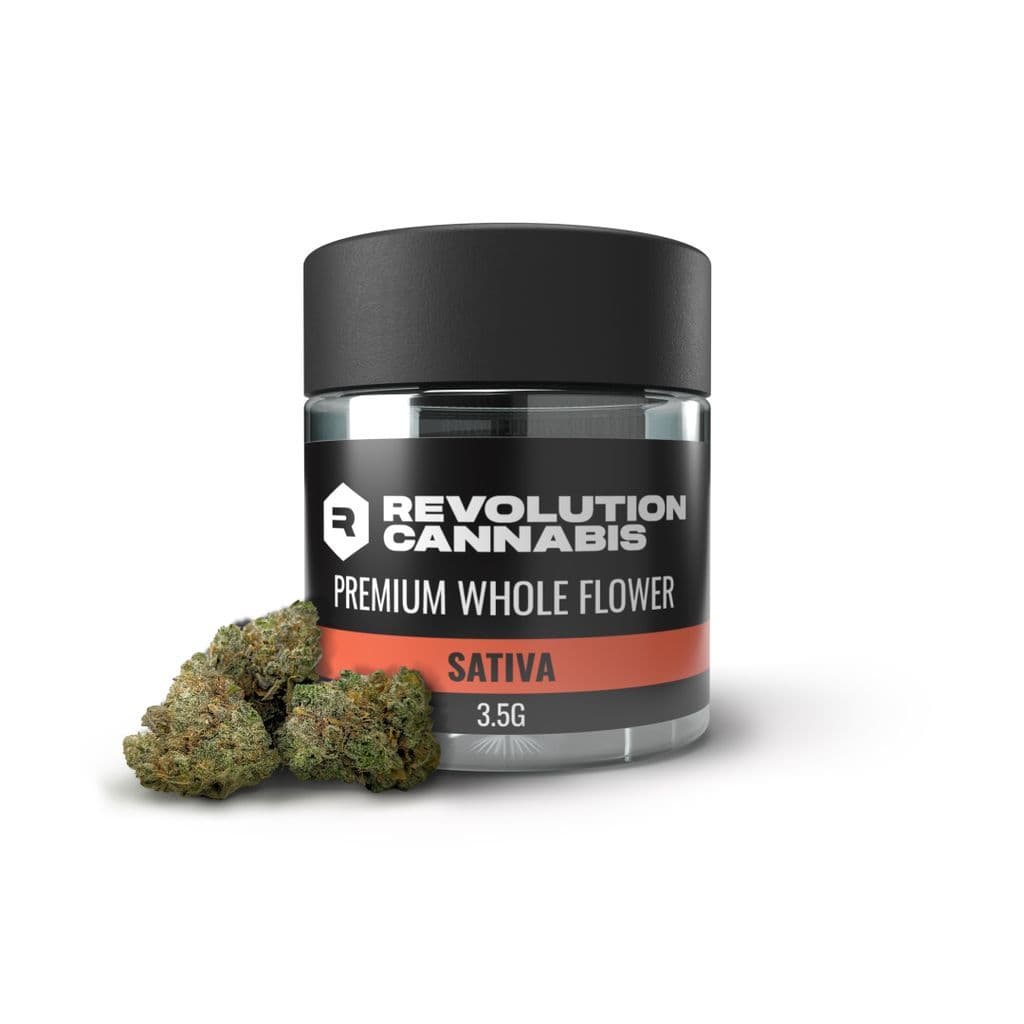 25% OFF Revolution + Tales & Travels