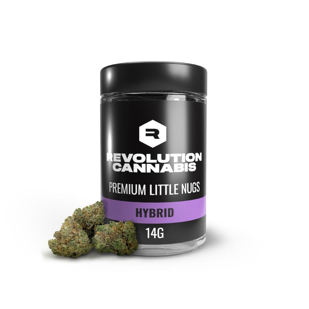 25% OFF Revolution + Tales & Travels