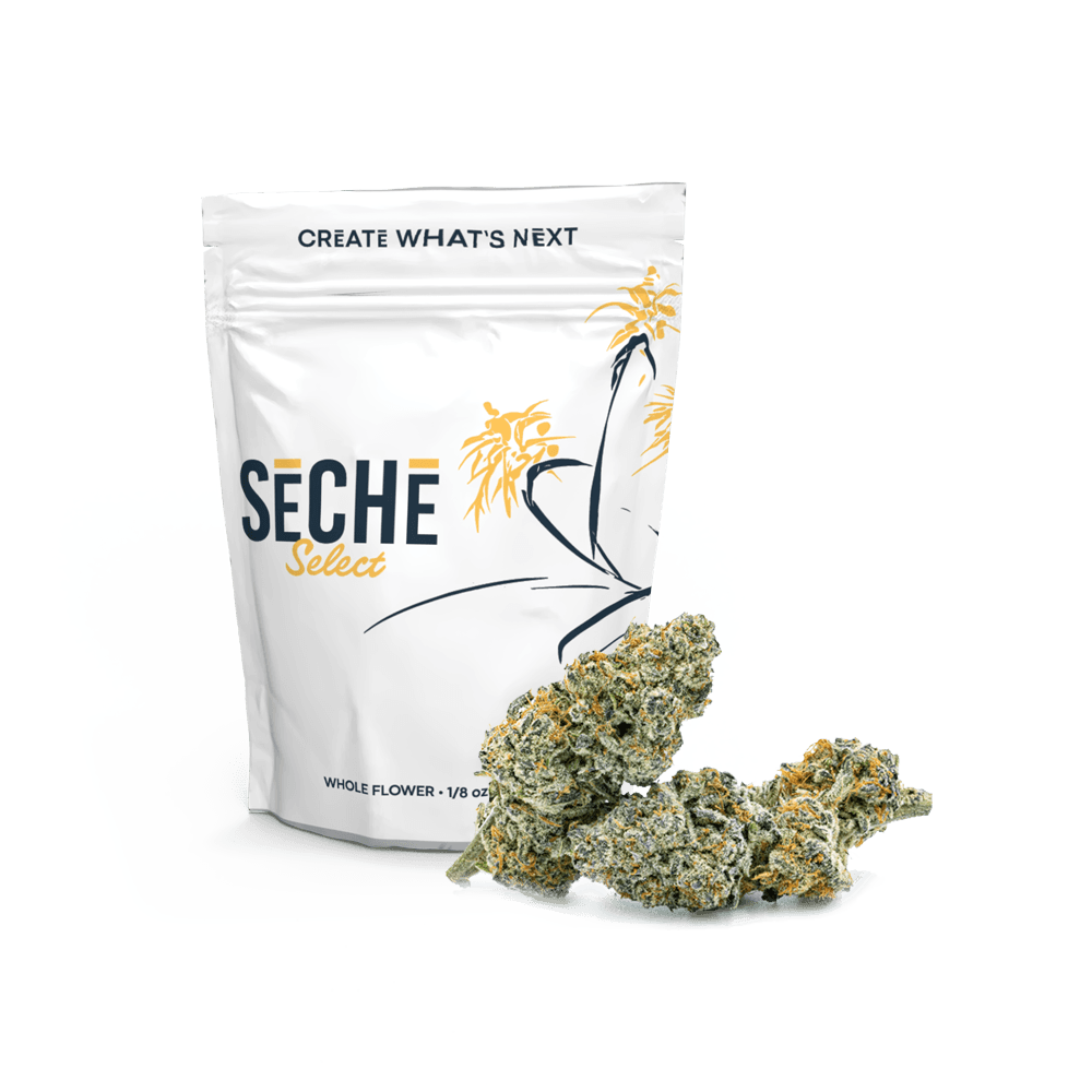 35% Off SeChe