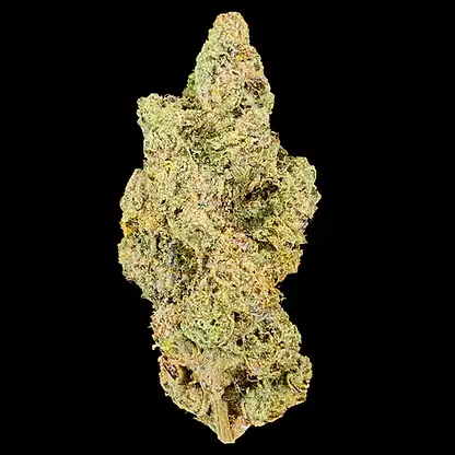 30% OFF Flora, ZIP & Khalifa Kush