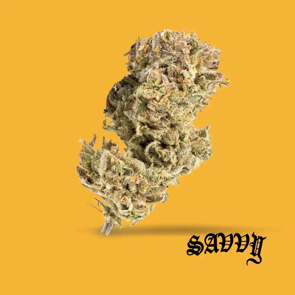 $60 Savvy 14g